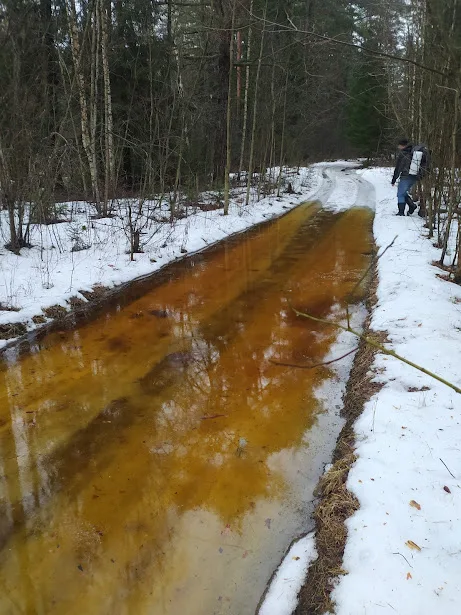 Заповедная зона ГПУ Нарочанский - для пешего похода на два дня зимой, осенью с ночевкой в палатке