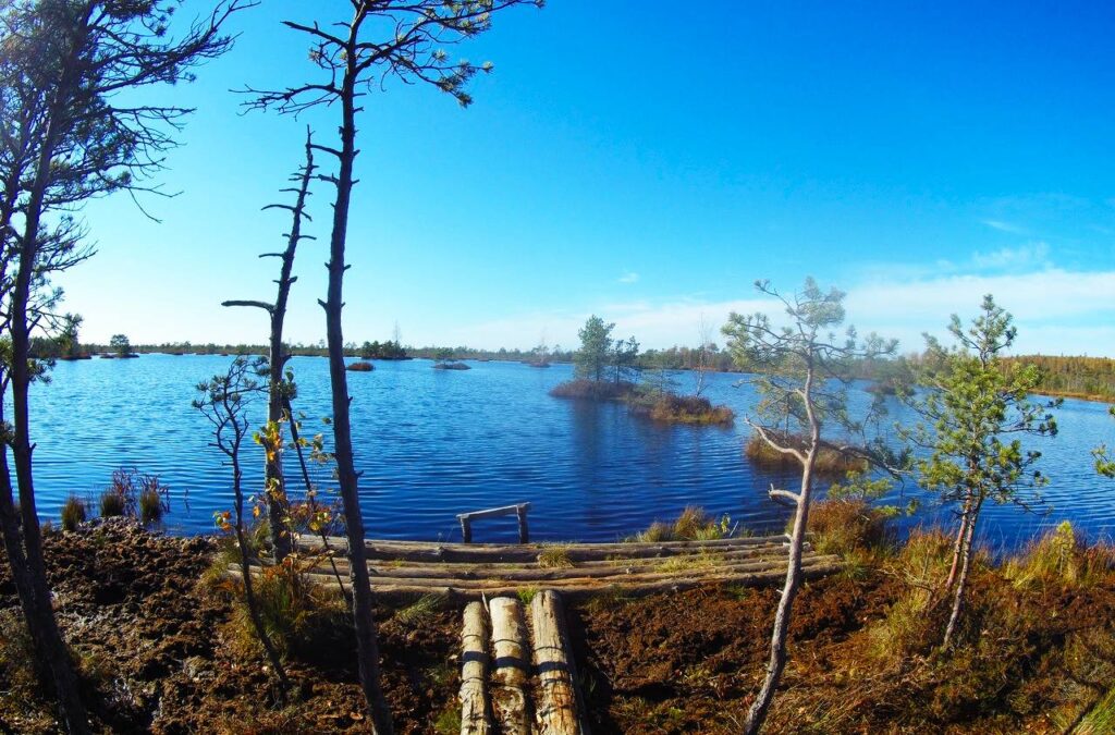 Озеро Курганистое на болоте Ельня