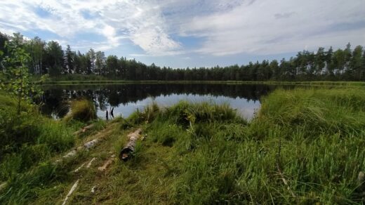 Озеро Гремячее Беларусь