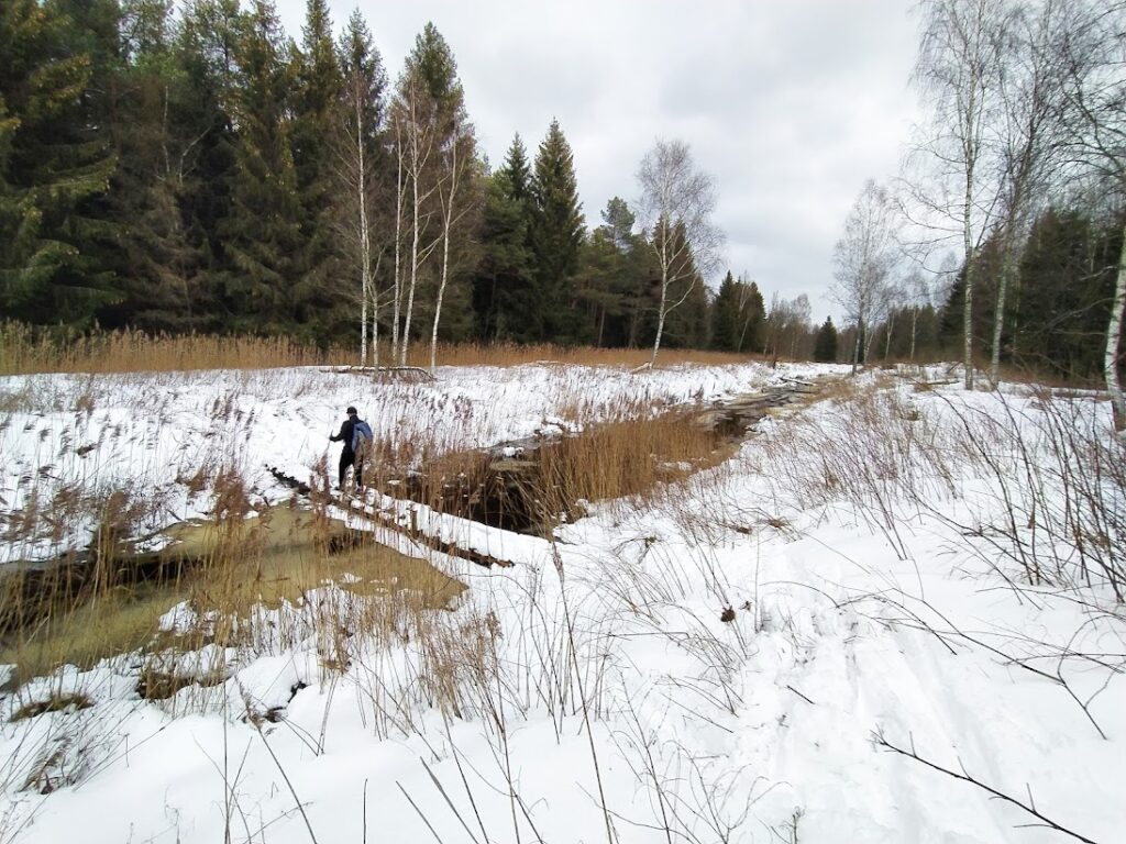 Озеро Дикое Беларуси в Руднянском лесу