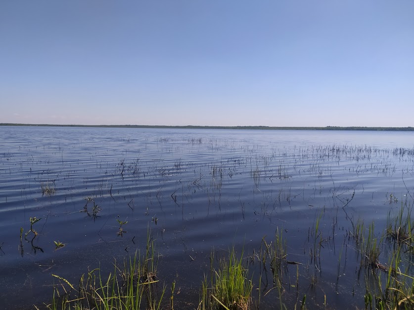 Озеро Палик в Беларуси