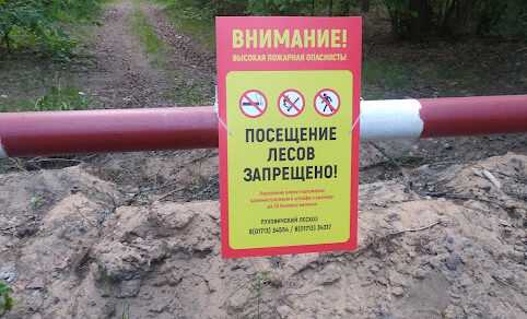 Посещение лесов в Беларуси запрещено