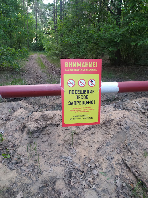 Посещение лесов в Беларуси запрещено