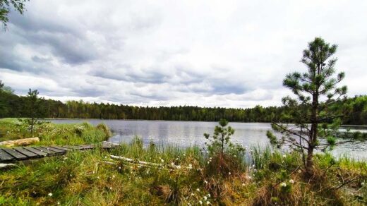 Бездонное озеро в Дзержинском районе Беларуси