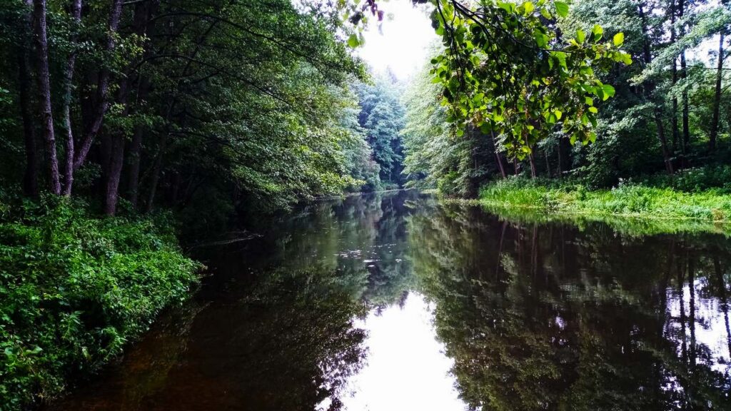 Река Нарочь в Беларуси