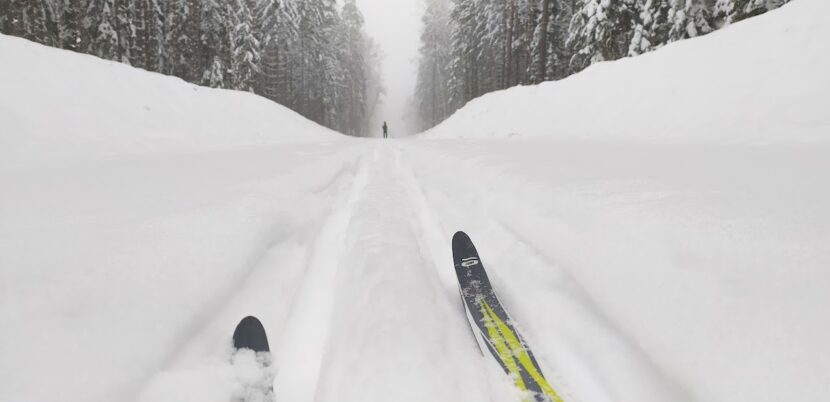 Лыжные походы по Беларуси