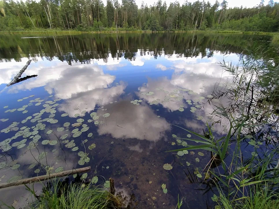 Озеро Малый Болтик в Беларуси