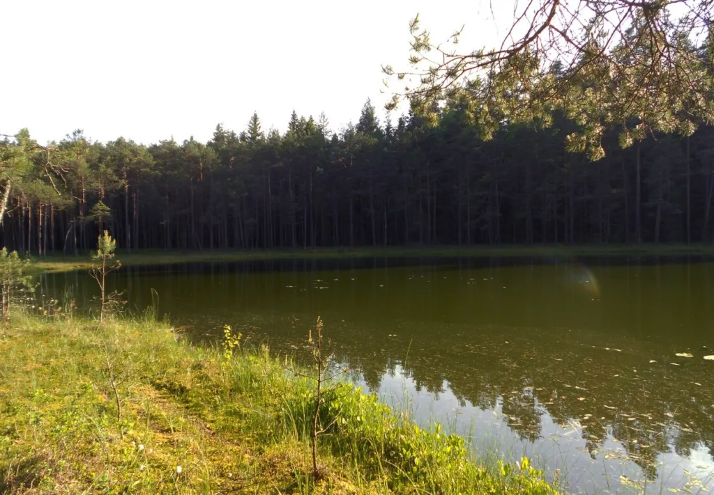 Голубые озера в Беларуси