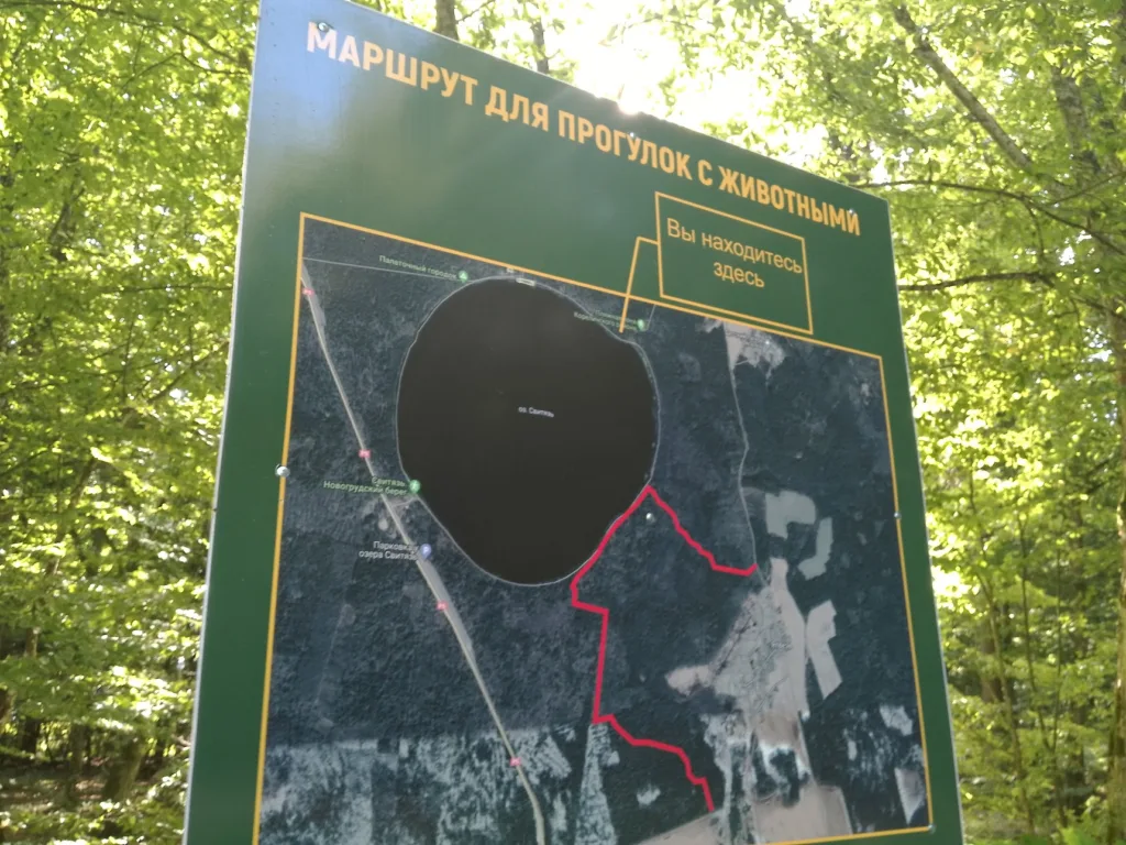 Озеро Свитязь