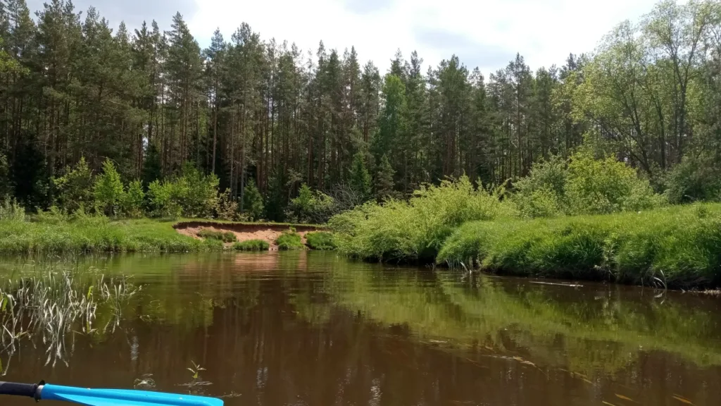 Река Илия в Беларуси