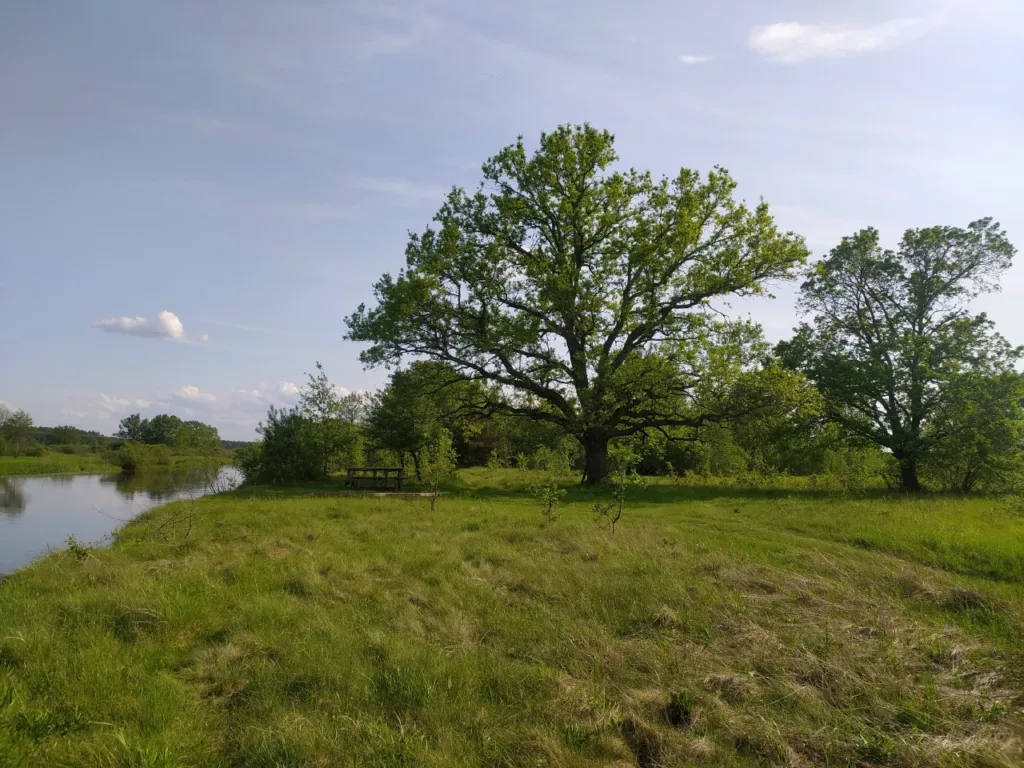 Сплавы по реке Случь