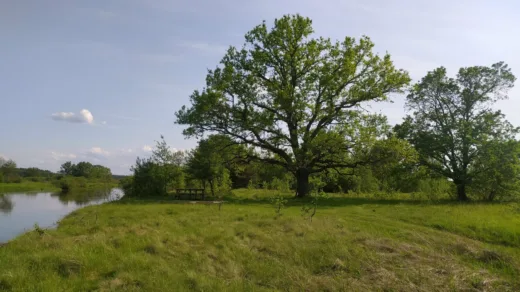 Сплавы по реке Случь