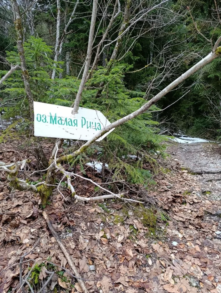 Озеро Малая Рица Абхазии