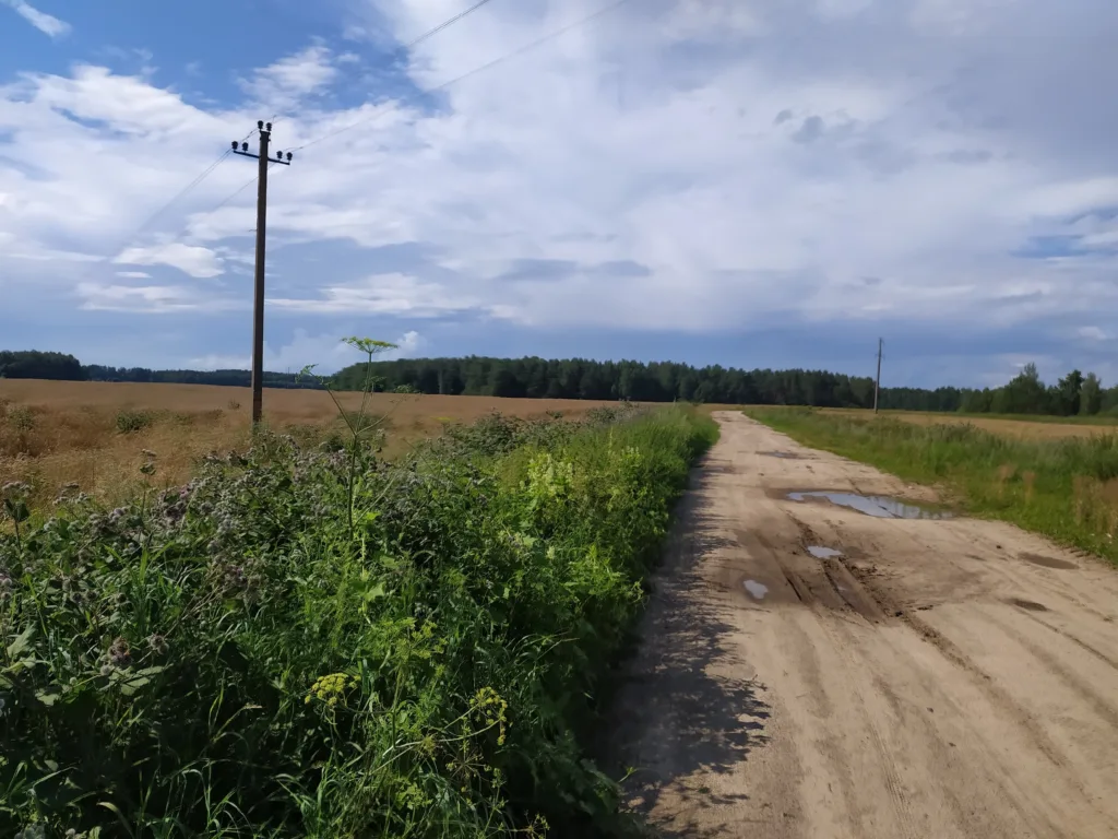 Через Усадьбу Рованичи к реке Уша, пеший трек