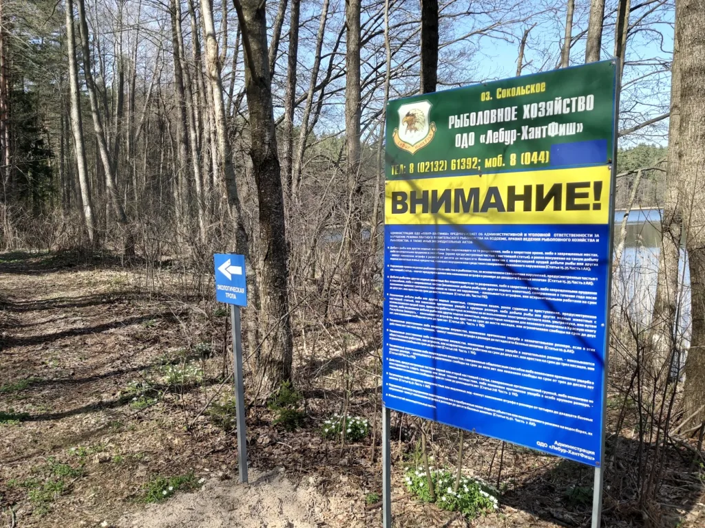 Озеро Сокольское Витебской области