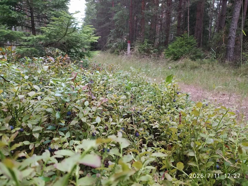 Водохранилище Гать