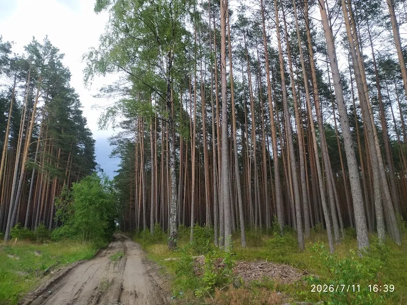 Водохранилище Гать
