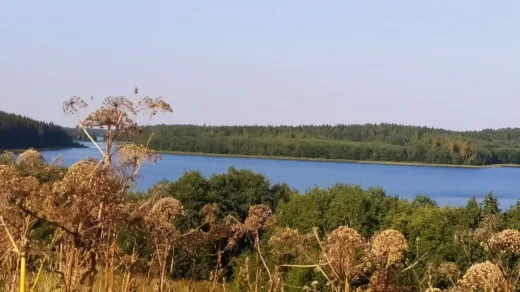 Озеро Кривое