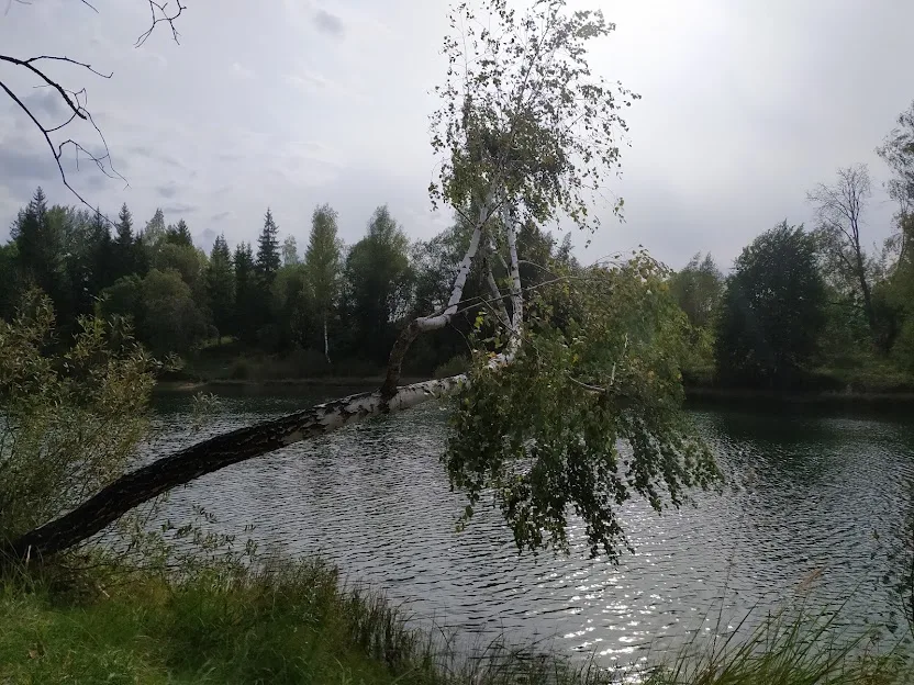 Меловой карьер Бакиново