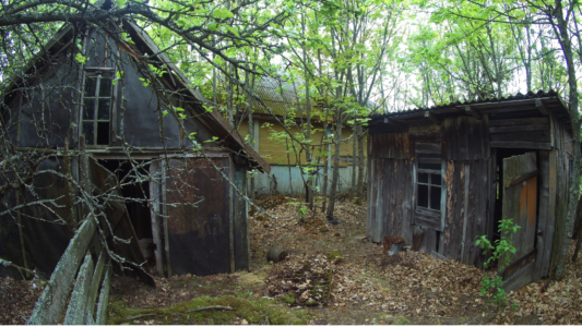 Тульговичи Белорусская зона отчуждения