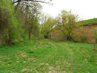 Таракановский форт