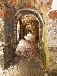 Таракановский форт