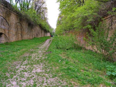 Таракановский форт