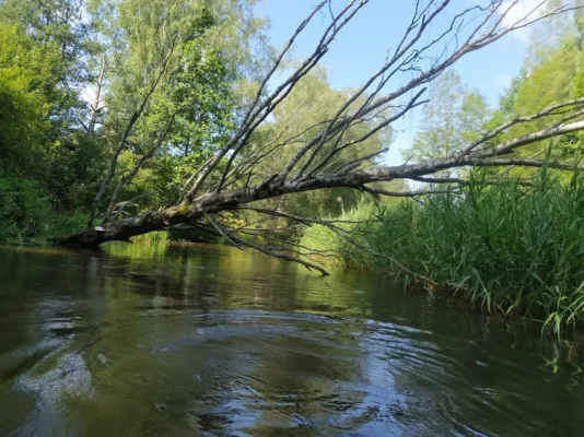 Сплав по реке Уша