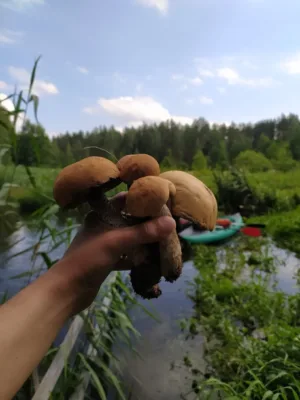 Сплав по реке Уша
