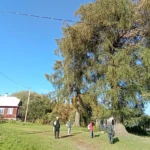 Дом эконома смотрителя усадьбы Булгаков Душково