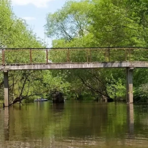 Река Илия